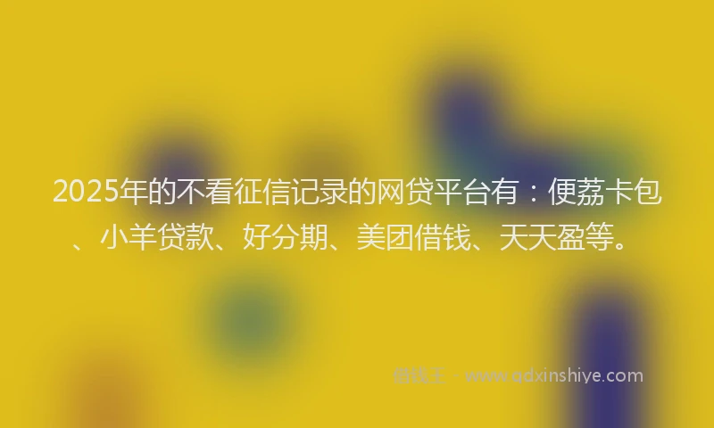 2025年的不看征信记录的网贷平台有：便荔卡包、小羊贷款、好分期、美团借钱、天天盈等。