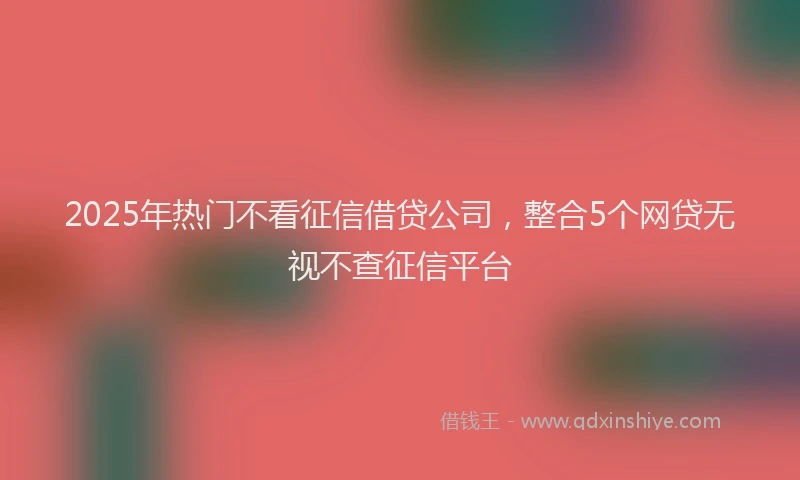 2025年热门不看征信借贷公司，整合5个网贷无视不查征信平台