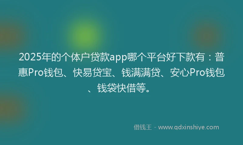 2025年的个体户贷款app哪个平台好下款有：普惠Pro钱包、快易贷宝、钱满满贷、安心Pro钱包、钱袋快借等。