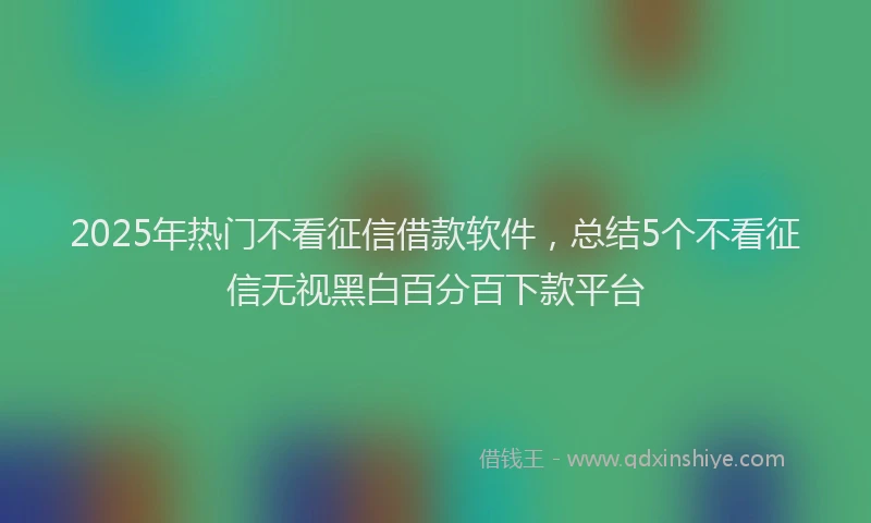 2025年热门不看征信借款软件，总结5个不看征信无视黑白百分百下款平台
