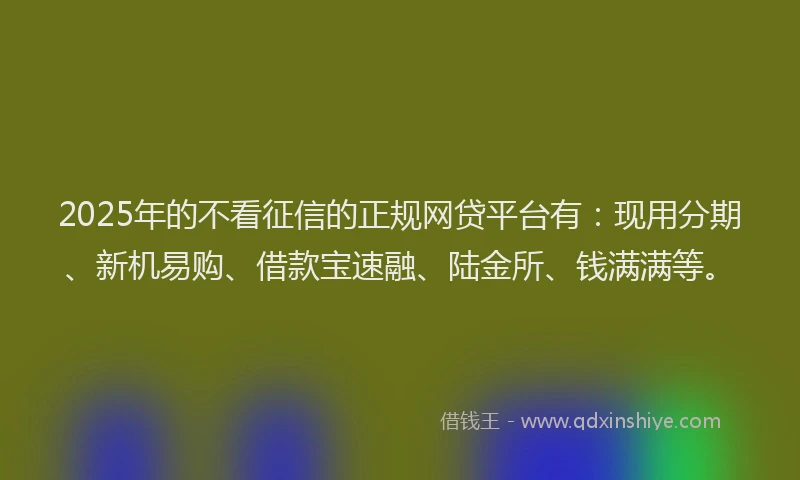 2025年的不看征信的正规网贷平台有：现用分期、新机易购、借款宝速融、陆金所、钱满满等。