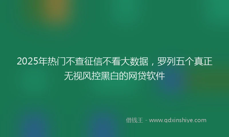 2025年热门不查征信不看大数据，罗列五个真正无视风控黑白的网贷软件