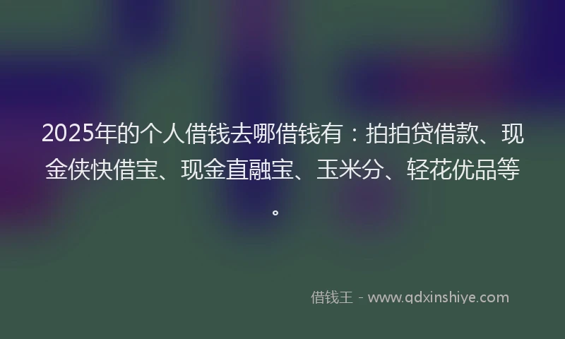 2025年的个人借钱去哪借钱有：拍拍贷借款、现金侠快借宝、现金直融宝、玉米分、轻花优品等。