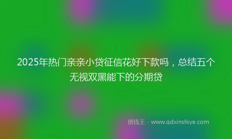 2025年热门亲亲小贷征信花好下款吗，总结五个无视双黑能下的分期贷