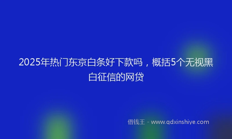 2025年热门东京白条好下款吗，概括5个无视黑白征信的网贷