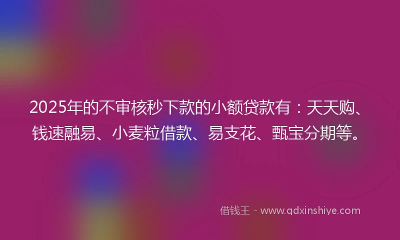 2025年的不审核秒下款的小额贷款有：天天购、钱速融易、小麦粒借款、易支花、甄宝分期等。