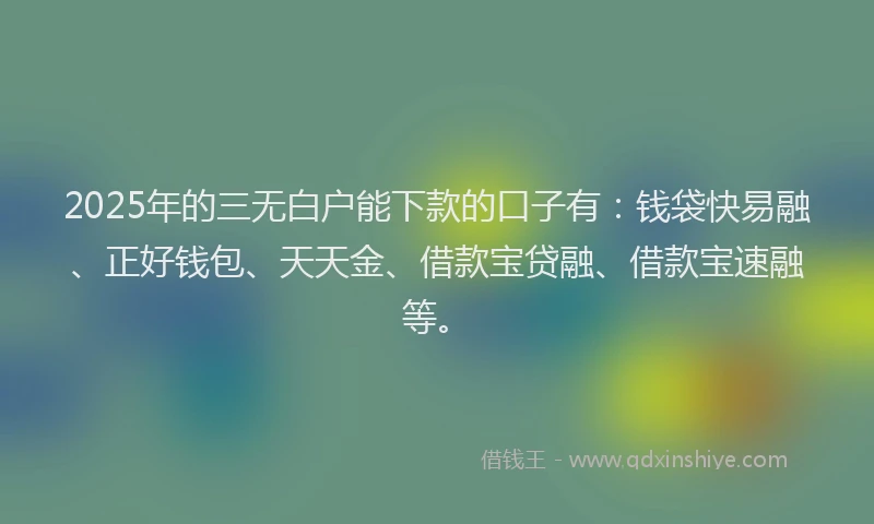 2025年的三无白户能下款的口子有：钱袋快易融、正好钱包、天天金、借款宝贷融、借款宝速融等。