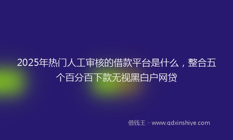 2025年热门人工审核的借款平台是什么，整合五个百分百下款无视黑白户网贷
