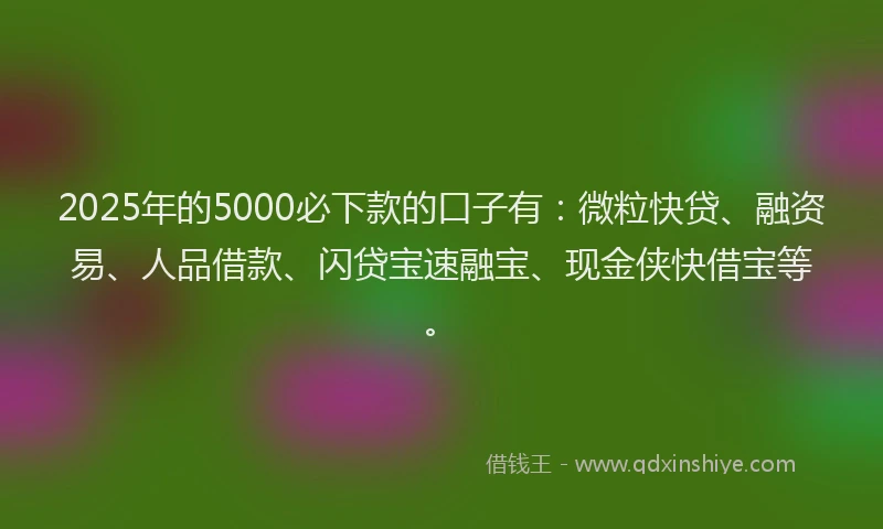 2025年的5000必下款的口子有：微粒快贷、融资易、人品借款、闪贷宝速融宝、现金侠快借宝等。