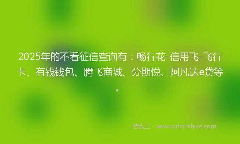 2025年的不看征信查询有：畅行花-信用飞-飞行卡、有钱钱包、腾飞商城、分期悦、阿凡达e贷等。