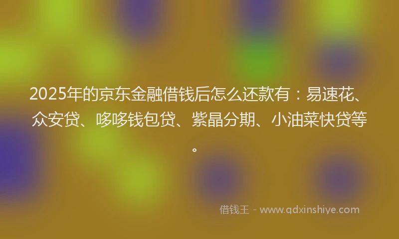 2025年的京东金融借钱后怎么还款有：易速花、众安贷、哆哆钱包贷、紫晶分期、小油菜快贷等。