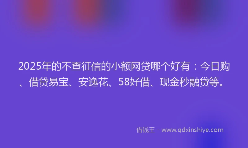 2025年的不查征信的小额网贷哪个好有：今日购、借贷易宝、安逸花、58好借、现金秒融贷等。