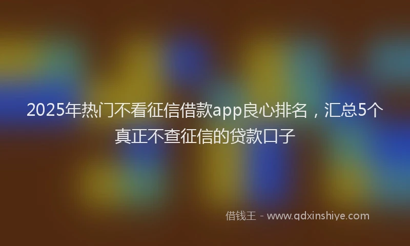 2025年热门不看征信借款app良心排名，汇总5个真正不查征信的贷款口子