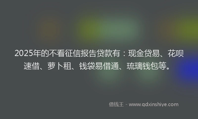 2025年的不看征信报告贷款有：现金贷易、花呗速借、萝卜租、钱袋易借通、琉璃钱包等。