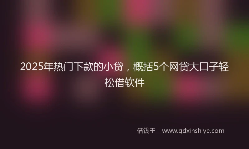 2025年热门下款的小贷，概括5个网贷大口子轻松借软件