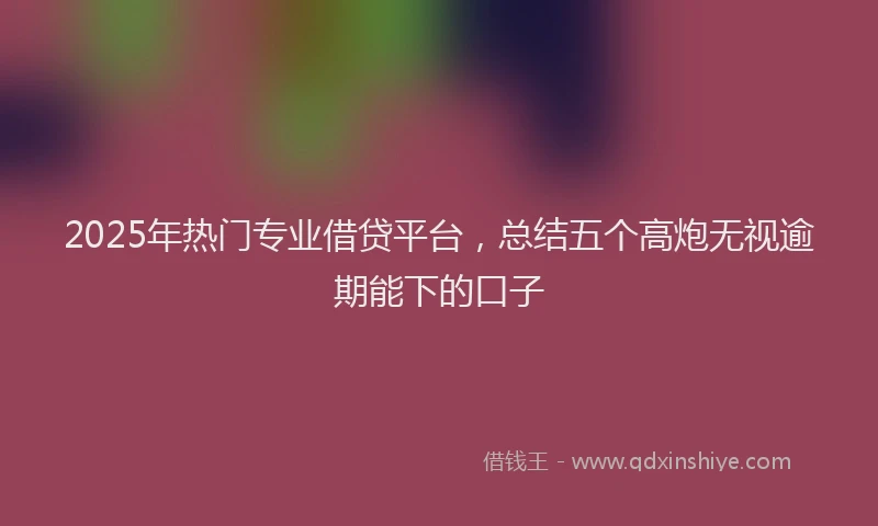 2025年热门专业借贷平台，总结五个高炮无视逾期能下的口子