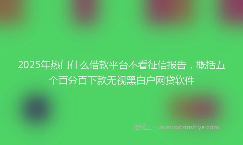 2025年热门什么借款平台不看征信报告，概括五个百分百下款无视黑白户网贷软件