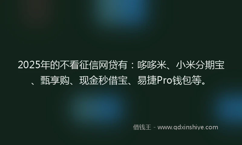 2025年的不看征信网贷有：哆哆米、小米分期宝、甄享购、现金秒借宝、易捷Pro钱包等。