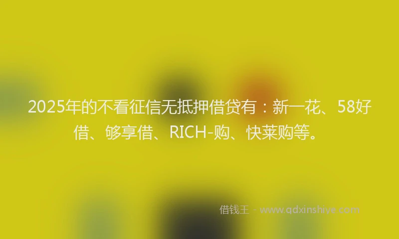 2025年的不看征信无抵押借贷有：新一花、58好借、够享借、RICH-购、快莱购等。