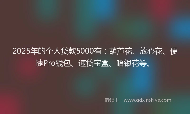 2025年的个人贷款5000有：葫芦花、放心花、便捷Pro钱包、速贷宝盒、哈银花等。