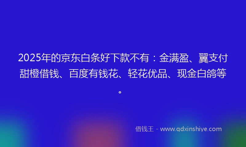 2025年的京东白条好下款不有：金满盈、翼支付甜橙借钱、百度有钱花、轻花优品、现金白鸽等。