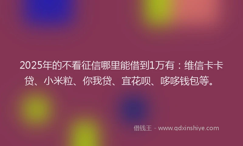 2025年的不看征信哪里能借到1万有：维信卡卡贷、小米粒、你我贷、宜花呗、哆哆钱包等。