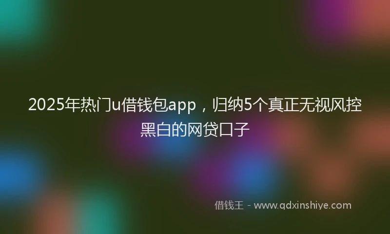 2025年热门u借钱包app，归纳5个真正无视风控黑白的网贷口子