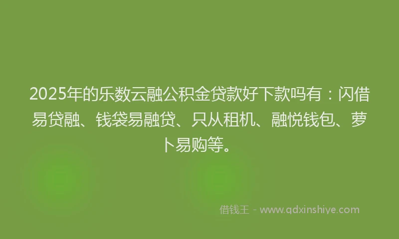 2025年的乐数云融公积金贷款好下款吗有：闪借易贷融、钱袋易融贷、只从租机、融悦钱包、萝卜易购等。