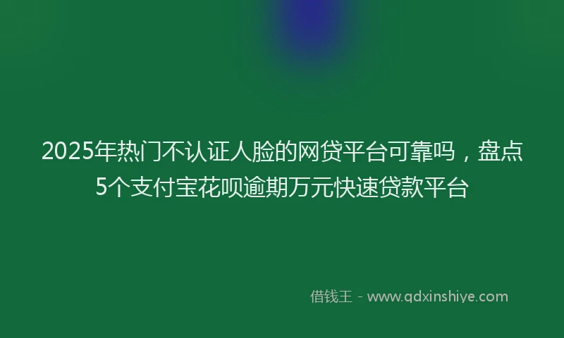 2025年热门不认证人脸的网贷平台可靠吗，盘点5个支付宝花呗逾期万元快速贷款平台