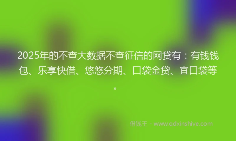 2025年的不查大数据不查征信的网贷有：有钱钱包、乐享快借、悠悠分期、口袋金贷、宜口袋等。