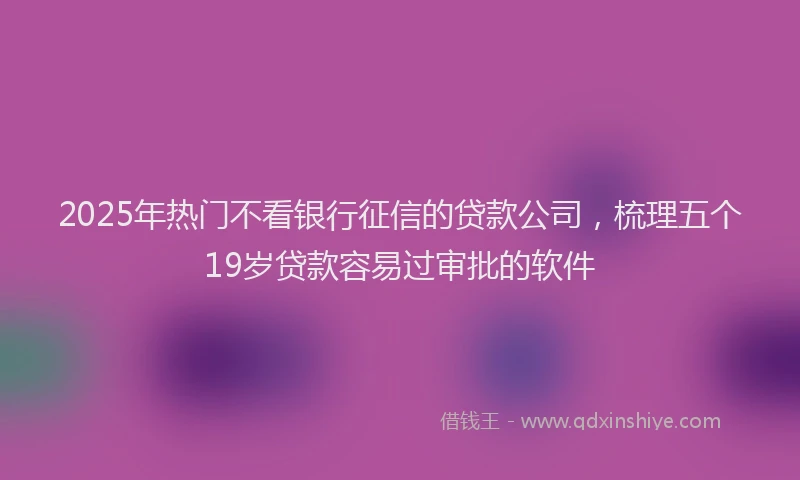2025年热门不看银行征信的贷款公司，梳理五个19岁贷款容易过审批的软件