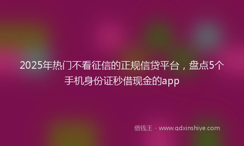 2025年热门不看征信的正规信贷平台，盘点5个手机身份证秒借现金的app