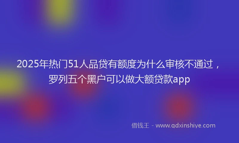 2025年热门51人品贷有额度为什么审核不通过，罗列五个黑户可以做大额贷款app