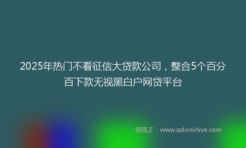 2025年热门不看征信大贷款公司，整合5个百分百下款无视黑白户网贷平台