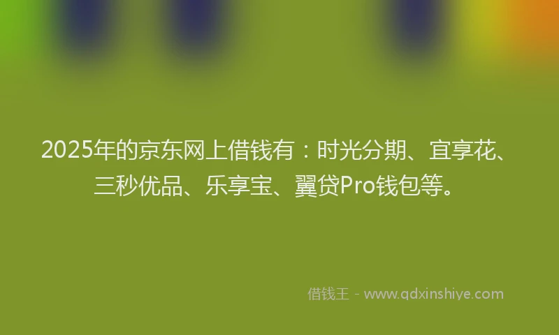 2025年的京东网上借钱有：时光分期、宜享花、三秒优品、乐享宝、翼贷Pro钱包等。