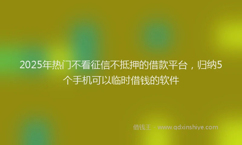 2025年热门不看征信不抵押的借款平台，归纳5个手机可以临时借钱的软件