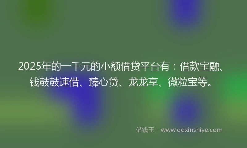 2025年的一千元的小额借贷平台有：借款宝融、钱鼓鼓速借、臻心贷、龙龙享、微粒宝等。