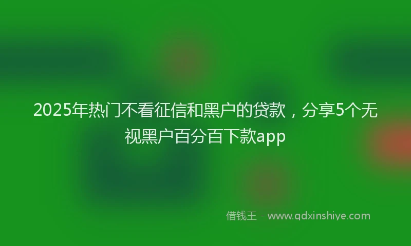 2025年热门不看征信和黑户的贷款，分享5个无视黑户百分百下款app