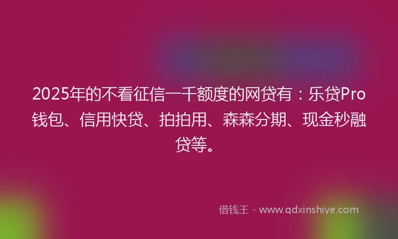 2025年的不看征信一千额度的网贷有：乐贷Pro钱包、信用快贷、拍拍用、森森分期、现金秒融贷等。