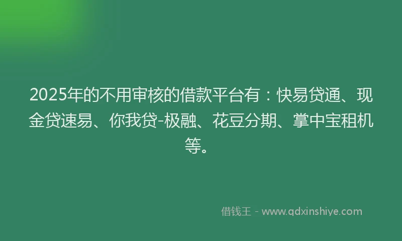 2025年的不用审核的借款平台有：快易贷通、现金贷速易、你我贷-极融、花豆分期、掌中宝租机等。