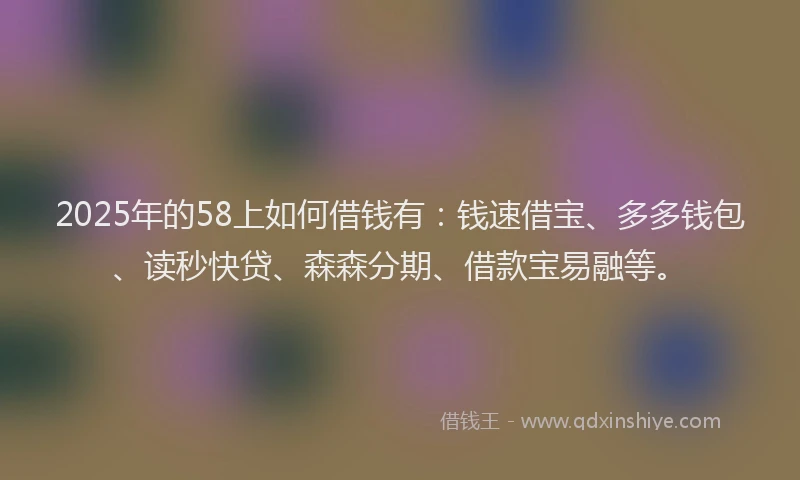 2025年的58上如何借钱有：钱速借宝、多多钱包、读秒快贷、森森分期、借款宝易融等。