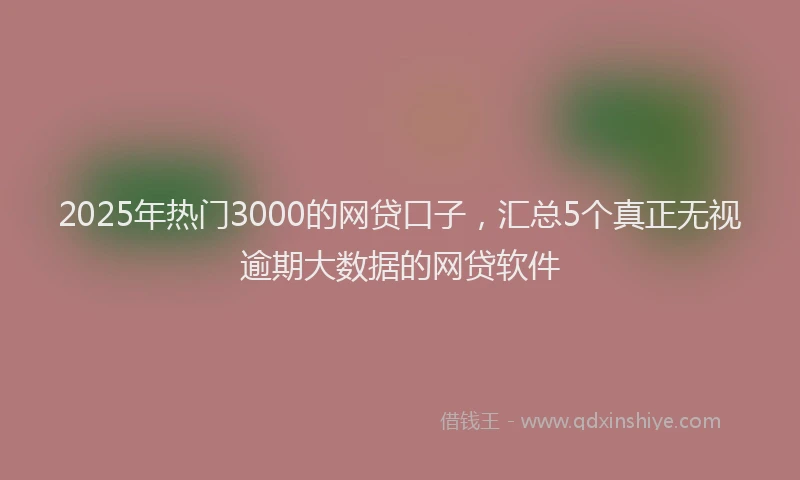 2025年热门3000的网贷口子，汇总5个真正无视逾期大数据的网贷软件