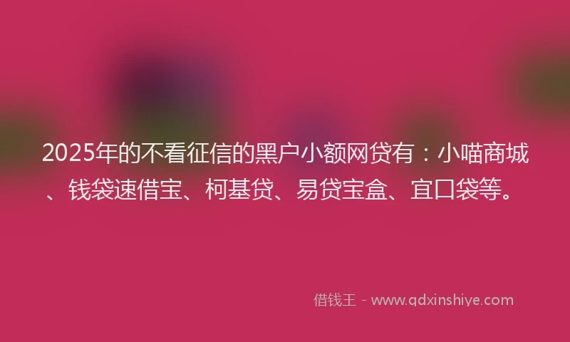 2025年的不看征信的黑户小额网贷有：小喵商城、钱袋速借宝、柯基贷、易贷宝盒、宜口袋等。