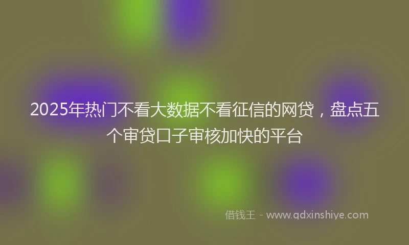 2025年热门不看大数据不看征信的网贷，盘点五个审贷口子审核加快的平台