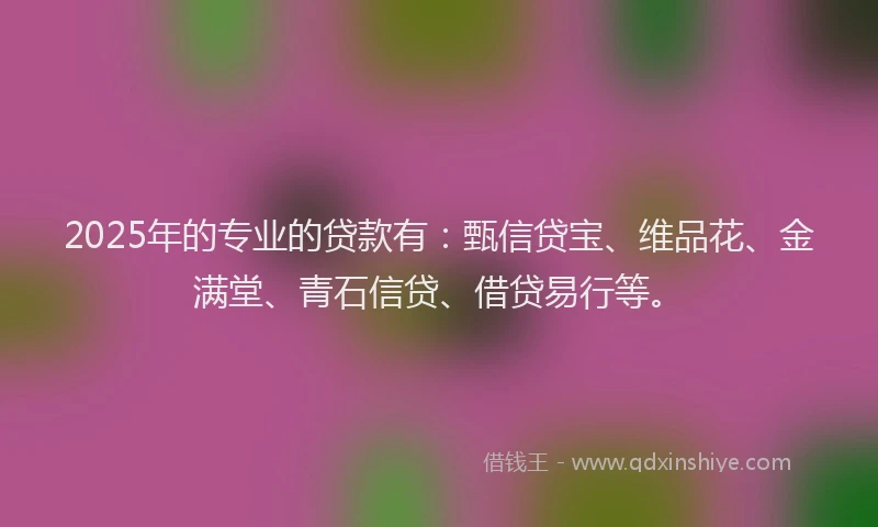 2025年的专业的贷款有：甄信贷宝、维品花、金满堂、青石信贷、借贷易行等。