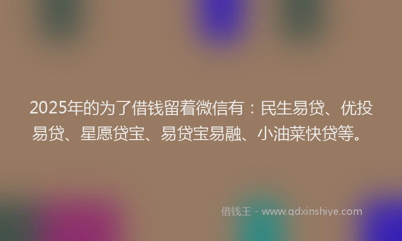 2025年的为了借钱留着微信有：民生易贷、优投易贷、星愿贷宝、易贷宝易融、小油菜快贷等。