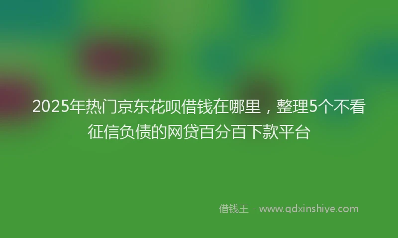 2025年热门京东花呗借钱在哪里，整理5个不看征信负债的网贷百分百下款平台