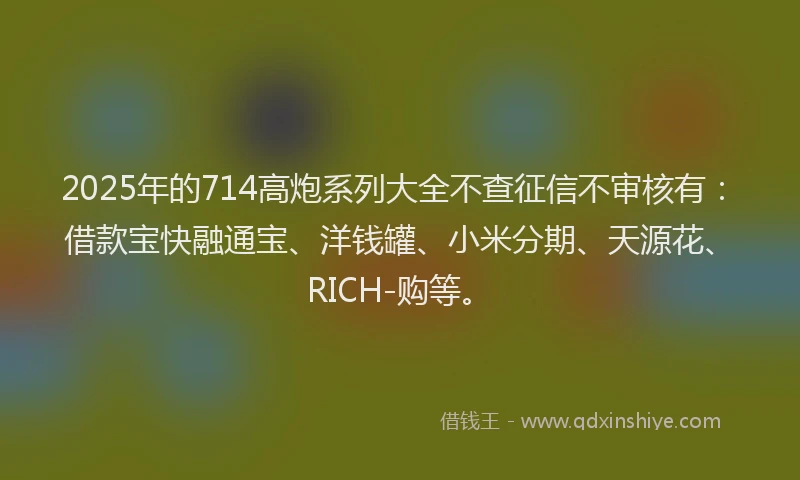 2025年的714高炮系列大全不查征信不审核有：借款宝快融通宝、洋钱罐、小米分期、天源花、RICH-购等。