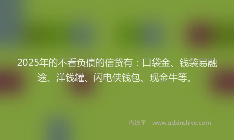 2025年的不看负债的信贷有：口袋金、钱袋易融途、洋钱罐、闪电侠钱包、现金牛等。