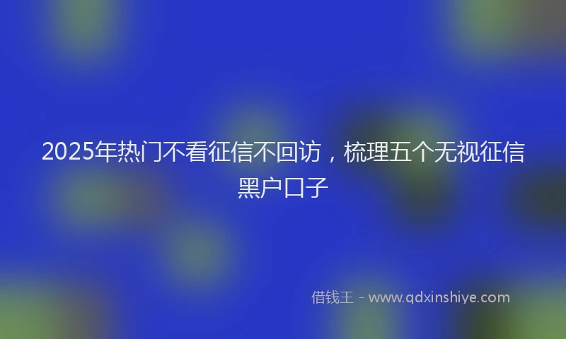 2025年热门不看征信不回访，梳理五个无视征信黑户口子